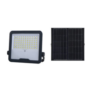 Essential LED Solar Floodlight